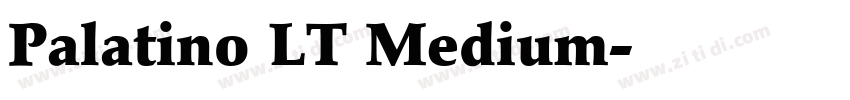 Palatino LT Medium字体转换